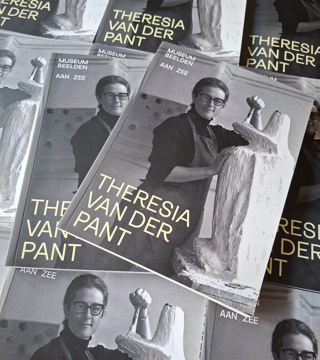 monografie_theresia_van_der_pant